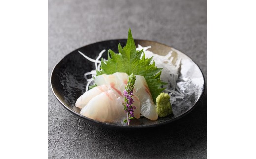 佐伯産 天然マダイ 刺身用ブロック (計500g) 刺身 お刺身 刺し身 真鯛 マダイ 鯛 タイ 鮮魚 海鮮 魚介 魚 カルパッチョ 塩焼き フライ 国産 小分け 【opbe010】【水元】大分県20000魚介・海産物そ