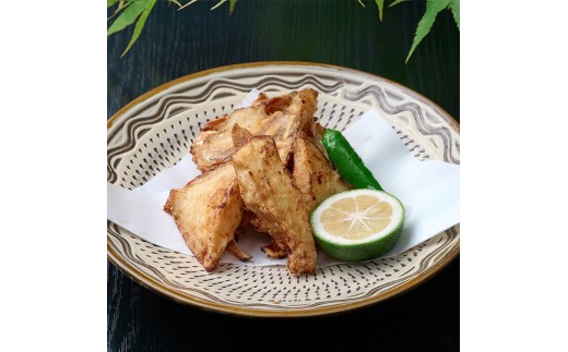 啪Y JnM hg E ؐg Zbg (480g) ͂ hg ؂g   Ⓚ  Y yopbe001zyz啪40000ECY̑ ECY