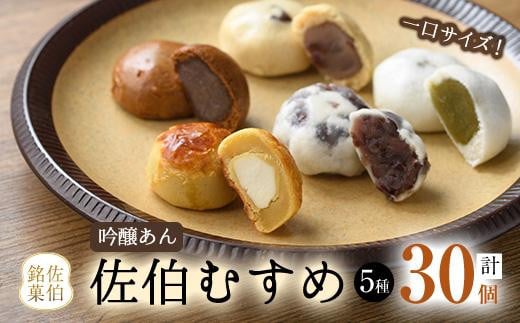ひとくちまんじゅう 佐伯むすめ (計30個・5種×6個) 饅頭 饅頭 ひとくち 一口 薄皮 みそ 黒糖 抹茶 チーズ お菓子 スイーツ おやつ 焼き菓子 和菓子 詰め合わせ 個装 常温 大分県 佐伯市【AG96】