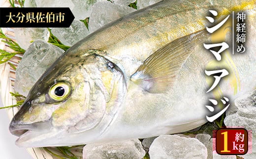 N V}AW (1{E1kg)  AW  ܂ _o lꂽ CN ܂邲 hg Ă ① C̒ 啪 syAS87zyC ()z啪s17000ECYN