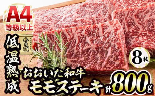 a Xe[L (v800gEXe[L100g×8+Xe[L\[X20g×8) Y   ~ ቷn Xe[L A4 a uh BBQ Ⓚ 啪 syDH68zy()lNTz