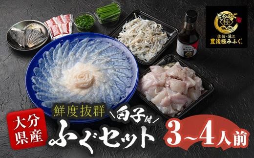 <着日指定必須> 白子付き とらふぐ セット (3-4人前) 冷蔵 とらふぐ ふぐ ふぐ刺し ふぐ刺身 刺身 ふぐ鍋 白子 皮 ひれ 唐揚げ ヒレ酒 お取り寄せ 鮮魚 養殖 国産 大分県 佐伯市【DK03】【エ