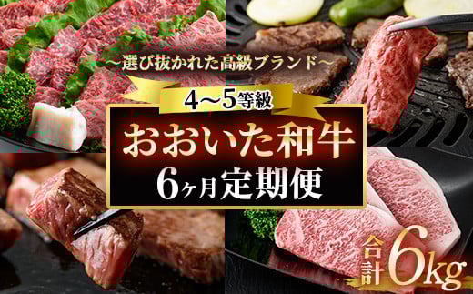 <定期便・全6回 (隔月)>おおいた和牛 定期便 (総量6kg) しゃぶしゃぶ ステーキ 焼肉 すき焼き モモ サーロイン ソース付き ばら ロース ヒレ 小分け 国産 4等級 和牛 牛肉 大分県 佐伯市【DP70