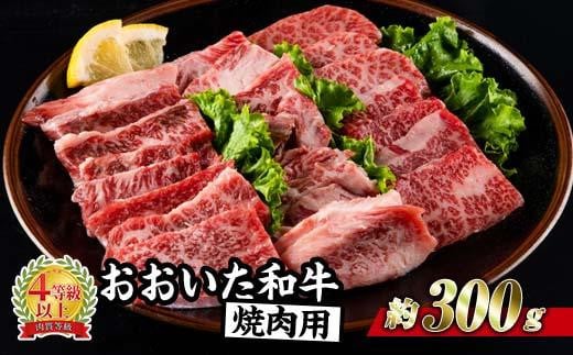 おおいた和牛 焼肉 (300g) 国産 豊後牛 BBQ バーベキュー 惣菜 やきにく おかず 百年の恵み 大分県 佐伯市【BD164】【西日本畜産 (株)】大分県佐伯市12000肉牛肉