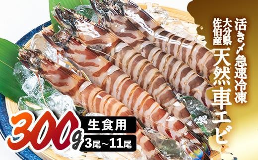天然 活き〆車エビ 生食用 (計300g) エビ 海老 車海老 冷凍 刺身 さしみ 天ぷら 塩焼 バーベキュー 国産 大分県産 大分県 佐伯市 やまろ渡邉【DL18】【鶴見食賓館】大分県佐伯市16000魚介・海産