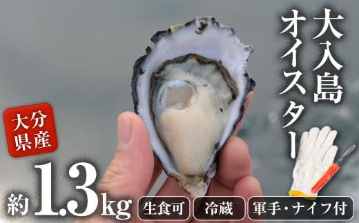 真ガキ 大入島オイスター (約1.3kg) 牡蠣 かき カキ 貝 海鮮 魚介類 冷蔵 生食可 シングルシード 養殖 大分県 佐伯市【ED08】【(合)新栄丸】大分県佐伯市15000魚介・海産物貝類