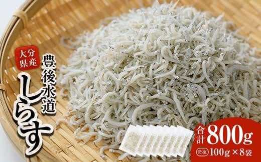 豊後水道産 しらす (合計800g・100g×8袋) 冷凍 しらす しらす丼 丼ぶり 魚 さかな ご飯 ごはん 炒飯 チャーハン パスタ サラダ 国産 大分県 パック 小分け 便利 大分県 佐伯市【CT08】【 (有)高橋