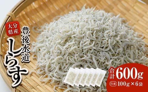 L㐅Y 炷 (v600gE100g×6) Ⓚ 炷 炷 Ԃ    ͂ u `[n pX^ T_ Y 啪 pbN  ֗ 啪 syCT09zy (L)