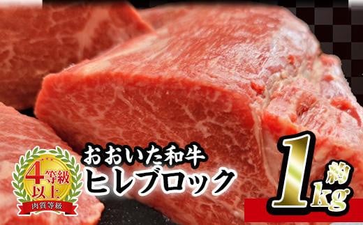 おおいた 和牛 ヒレブロック (約1kg) 国産 ステーキ 牛肉 豊後牛 BBQ バーベキュー 焼肉 ヒレ ヒレ肉 塊肉 惣菜 大分県 佐伯市【BD206】【西日本畜産 (株)】大分県佐伯市108000肉牛肉