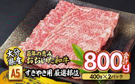百年の恵み おおいた和牛 A5 すき焼用 厳選部位 (800g) 国産 牛肉 肉 霜降り ロース 肩ロース もも 肩 和牛 ブランド牛 すき焼き 冷凍 大分県 佐伯市  【FS03】【 (株)トキハインダストリー】大分