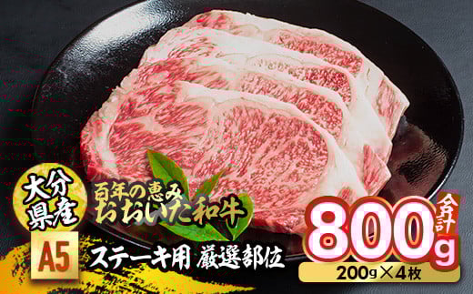 百年の恵み おおいた和牛 A5 ステーキ用 厳選部位 (計800g・200g×4枚) 国産 牛肉 肉 霜降り ロース 肩ロース サーロイン 和牛 ブランド牛 ステーキ 冷凍 大分県 佐伯市 【FS08】【 (株)トキハイン