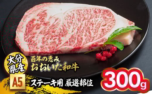 百年の恵み おおいた和牛 A5 ステーキ用 厚切り 厳選部位 (300g) 国産 牛肉 肉 霜降り ロース 肩ロース サーロイン 和牛 ブランド牛 ステーキ 冷凍 大分県 佐伯市 【FS09】【 (株)トキハインダス