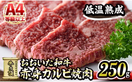 おおいた和牛 赤身カルビ焼肉 (250g) 国産 牛肉 肉 霜降り 低温熟成 A4 和牛 ブランド牛 カルビ 焼肉 BBQ 冷凍 大分県 佐伯市【DH200】【(株)ネクサ】大分県佐伯市12000肉牛肉