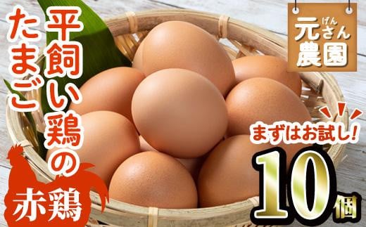 <お試し用> 平飼い赤鶏のたまご (計10個) 元さん農園 卵 玉子 卵かけご飯 玉子焼き 平飼い 鶏 鶏卵 養鶏場直送送 朝採れ 新鮮 大分県 佐伯市 【GE002】【 (株)海九】大分県佐伯市7000卵・乳製