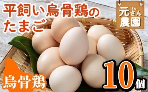平飼い烏骨鶏のたまご (計10個) 元さん農園 卵 玉子 卵かけご飯 玉子焼き 平飼い 鶏 鶏卵 養鶏場直送 朝採れ 新鮮 大分県 佐伯市 【GE003】【 (株)海九】大分県佐伯市15000卵・乳製品卵(鶏、烏