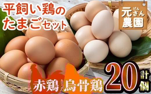 平飼い鶏のたまごセット (合計20個・烏骨鶏たまご10個・赤鶏たまご10個) 元さん農園 卵 玉子 卵かけご飯 玉子焼き 平飼い 鶏 鶏卵 養鶏場直送 朝採れ 新鮮 大分県 佐伯市 【GE004】【 (株)海九
