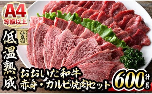 おおいた和牛 特選 焼肉 セット (合計600g・赤身300g+カルビ300g) 国産 牛肉 肉 霜降り 低温熟成 A4 和牛 ブランド牛 カルビ BBQ 冷凍 大分県 佐伯市【DH214】【(株)ネクサ】大分県佐伯市21000肉牛肉