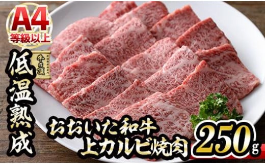a Jr ē (250g) Y   ~ ቷn A4 a uh Jr BBQ Ⓚ 啪 syDH219zy()lNTz啪s12000