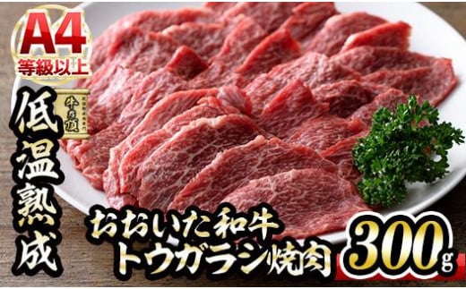 おおいた和牛 トウガラシ 焼肉 (300g) 国産 牛肉 肉 霜降り 低温熟成 A4 和牛 ブランド牛 BBQ 冷凍 大分県 佐伯市【DH221】【(株)ネクサ】大分県佐伯市12000肉牛肉