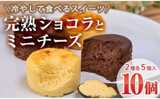 濃厚ショコラ・チーズケーキ (合計10個・2種×5個) チーズケーキ チーズ スイーツ 冷凍 お菓子 おやつ 焼き菓子 お取り寄せ 大分県 佐伯市【AJ75】【(有)ケーキ大使館クアンカ・ド−ネ】大分