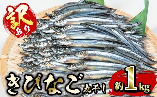 󂠂EƖpтȂ̊ۊ (v1kg)  Ђ g tC VՂ Ă ٓ  ̂܂ 啪 s yGH001zyPYXz啪s12000EC