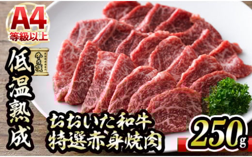 おおいた和牛 特選 赤身 焼肉 (250g) 国産 牛肉 肉 霜降り 低温熟成 ミスジ サンカク A4 和牛 ブランド牛 BBQ 冷凍 大分県 佐伯市【DH239】【(株)ネクサ】大分県佐伯市11000肉牛肉