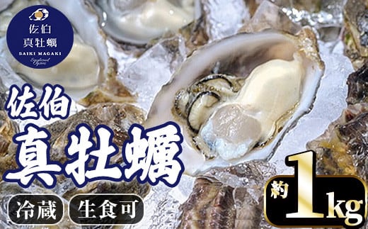 佐伯真牡蠣 鶴見産 (約1kg) 牡蠣 カキ 新鮮 小分け 生牡蠣 生カキ カキフライ 鍋 大分県 佐伯市【生食可】【EW061】【Up】大分県佐伯市12000魚介・海産物貝類