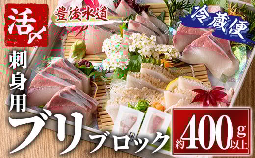 ブリ 刺身用 ブロック 冷蔵(約400-500g・4-5人前) ブリ 鰤 ぶり 神経締め 獲れたて 鮮魚 ブロック 刺身 冷蔵 海の直売所 大分県 佐伯市【AS131】【海べ (株)】大分県佐伯市14000魚介・海産物鮮魚