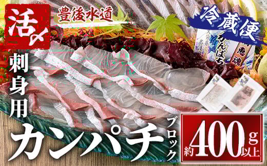 カンパチ 刺身用 ブロック 冷蔵(約400-500g・4-5人前) カンパチ かんぱち 神経締め 獲れたて 鮮魚 ブロック 刺身 冷蔵 海の直売所 大分県 佐伯市【AS132】【海べ (株)】大分県佐伯市16000魚介・海