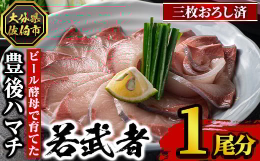 Ln}` ᕐ(O낵1) n}` ͂܂ N { hg O낵 Y 啪 s YiyGS002zyQۓVYz啪s32000ECYN