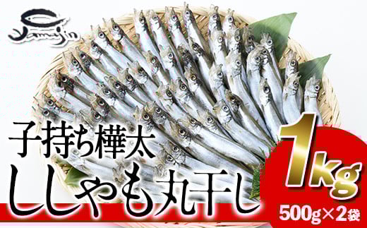 qۊ (v1kgE500g×2)   VV ۊ  CN Ⓚ 啪 syAP82zy()}Wz啪s10000ECY