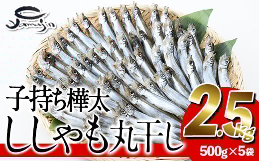 qۊ (v2.5kgE500g×5)   VV ۊ  CN Ⓚ 啪 syAP83zy()}Wz啪s20000ECY