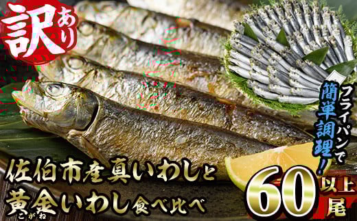 <訳あり>佐伯市産真いわしと黄金いわし 食べ比べ (2種・60尾以上) 国産 大分県産 イワシ 黄金いわし 丸干し 魚 海鮮 冷凍 おつまみ 小分け【GX003】【(有)マルサン商店】大分県佐伯市10000魚