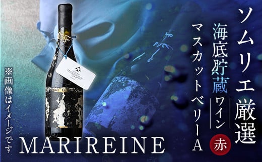C꒙C  MARIREINE }XJbgx[A sagittarius2022(720mlE1{)vZCi[ C ԃC  p[eB[ }[k C n 啪 syFP021zyt^Xz啪