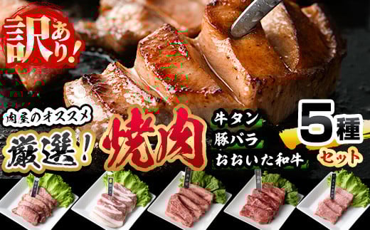 󂠂聄IēZbg (v410gE5) a ACIv~A ^ Ă̌b ؃o ē   ؓ Ԑg Jr 󏭕 ቷn a uh BBQ Ⓚ 啪