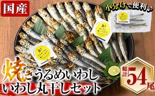 焼き うるめいわし 丸干し・焼き いわし 丸干し セット(総計54尾) 焼いてますシリーズ 小分け 国産 冷凍 国産 魚 海鮮 おつまみ おかず 惣菜 簡単調理 大分県 佐伯市【DL25】【鶴見食賓館】大