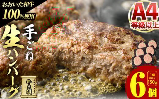 おおいた和牛 100% 手ごね 生ハンバーグ (計900g・150g×6個) 国産 牛肉 肉 霜降り A4 和牛 ブランド牛 冷凍 大分県 佐伯市【DH267】【(株)ネクサ】大分県佐伯市12000肉牛肉