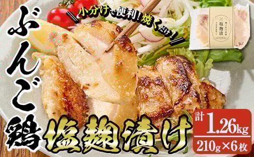 大分県産 ぶんご鶏の自家製塩麹漬け(計1.26kg・210g×6枚)国産 鶏肉 ステーキ タンパク質 簡単 調理 冷凍 大分県 佐伯市【AN109】【ぶんご銘醸 (株)】大分県佐伯市15000肉鶏肉