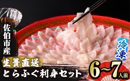 <瞬間凍結>生簀直送 とらふぐ 刺身 セット (6-7人前) 魚 鮮魚 ふぐ 河豚 刺し身 刺身 さしみ ポン酢 もみじおろし 冷凍 佐伯 養殖 大分県 佐伯市【EA31】【(株)トーワ】大分県佐伯市63000魚介