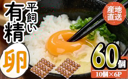 産直・平飼い有精卵  (計60個) 卵 玉子 卵かけご飯 玉子焼き 平飼い 鶏 鶏卵 養鶏場直送 朝採れ 新鮮 大分県 佐伯市 【HM02】【佐伯養鶏場】大分県佐伯市16000卵・乳製品卵(鶏、烏骨鶏等)