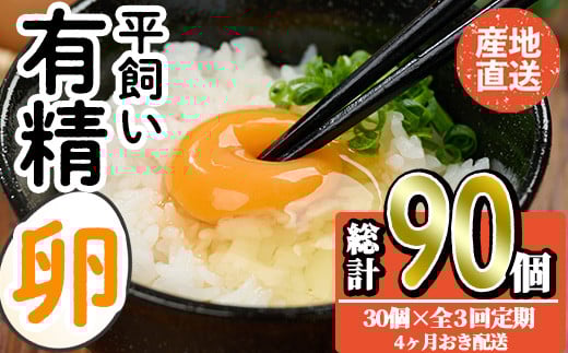 <定期便・全3回>産直・平飼い有精卵  (総計90個・30個×3回(4ヶ月おき発送)) 卵 玉子 卵かけご飯 玉子焼き 平飼い 鶏 鶏卵 養鶏場直送 朝採れ 新鮮 大分県 佐伯市 【HM03】【佐伯養鶏場】大分