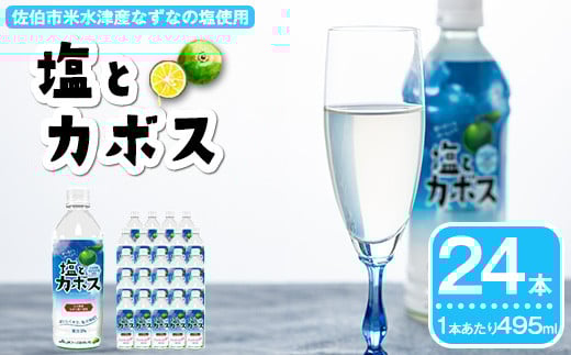塩とカボス(24本) かぼす ドリンク ジュース 水分 塩分 補給 なずなの塩 大分県産 特産品 大分県 佐伯市 防災 常温 常温保存【DT16】【全国農業協同組合連合会大分県本部】大分県佐伯市10000お
