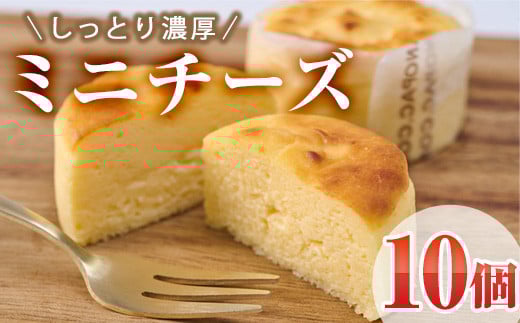 濃厚ミニチーズケーキ (計10個) チーズケーキ チーズ スイーツ 冷凍 お菓子 おやつ 焼き菓子 お取り寄せ 大分県 佐伯市【AJ87】【(有)ケーキ大使館クアンカ・ドーネ】大分県佐伯市13000菓子・