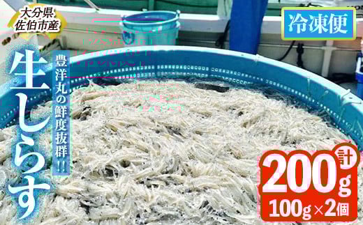 Lmۂ̑NxQI 炷Zbg (v200gE100g×2) Ⓚ 炷 炷 Ԃ    ͂ u `[n pX^ T_ Y 啪 pbN  ֗ 啪 syHK