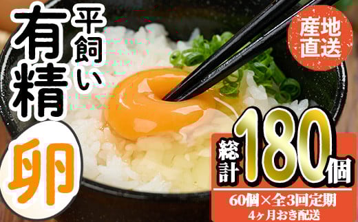 <定期便・全3回>産直・平飼い有精卵  (総計180個・60個×3回(4ヶ月おき発送)) 卵 玉子 卵かけご飯 玉子焼き 平飼い 鶏 鶏卵 養鶏場直送 朝採れ 新鮮 大分県 佐伯市 【HM08】【佐伯養鶏場】大分