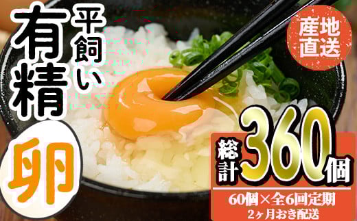 <定期便・全6回>産直・平飼い有精卵  (総計360個・60個×6回(2ヶ月おき発送)) 卵 玉子 卵かけご飯 玉子焼き 平飼い 鶏 鶏卵 養鶏場直送 朝採れ 新鮮 大分県 佐伯市 【HM09】【佐伯養鶏場】大分