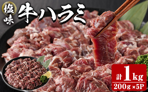 塩味 牛ハラミ (計1kg) 小分け 牛肉 肉 ハラミ 牛はらみ 味付け 焼肉 塩 BBQ 冷凍 大分県 佐伯市【DH299】【ネクサ】大分県佐伯市21000肉牛肉