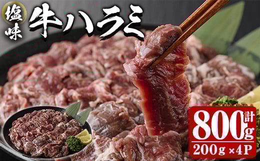 塩味 牛ハラミ (計800g) 小分け 牛肉 肉 ハラミ 牛はらみ 味付け 焼肉 塩 BBQ 冷凍 大分県 佐伯市【DH298】【ネクサ】大分県佐伯市17000肉牛肉