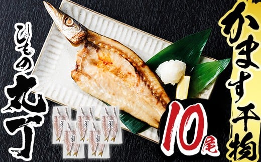 ギフト用品質!九州産ひものかます開き(10尾) 干物 かます カマス 開き 魚 海鮮 冷凍 ひもの 小分け 惣菜 おかず セット ギフト 贈り物 大分県 佐伯市【DH182】【ネクサ】大分県佐伯市10000魚介
