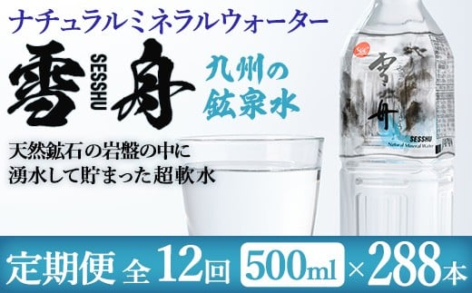 <定期便・全12回(毎月)>ナチュラル ミネラル ウォーター 雪舟 (総量288本・500ml×24本×12回) 定期便 国産 鉱泉水 お水 ドリンク 大自然 天然 料理 健康 維持 防災 常温 保存 12回【HD251】【さい